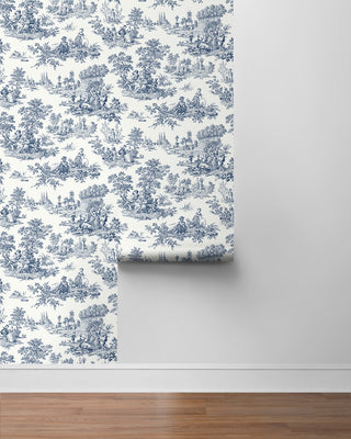 NW43312 toile peel and stick wallpaper roll from NextWall