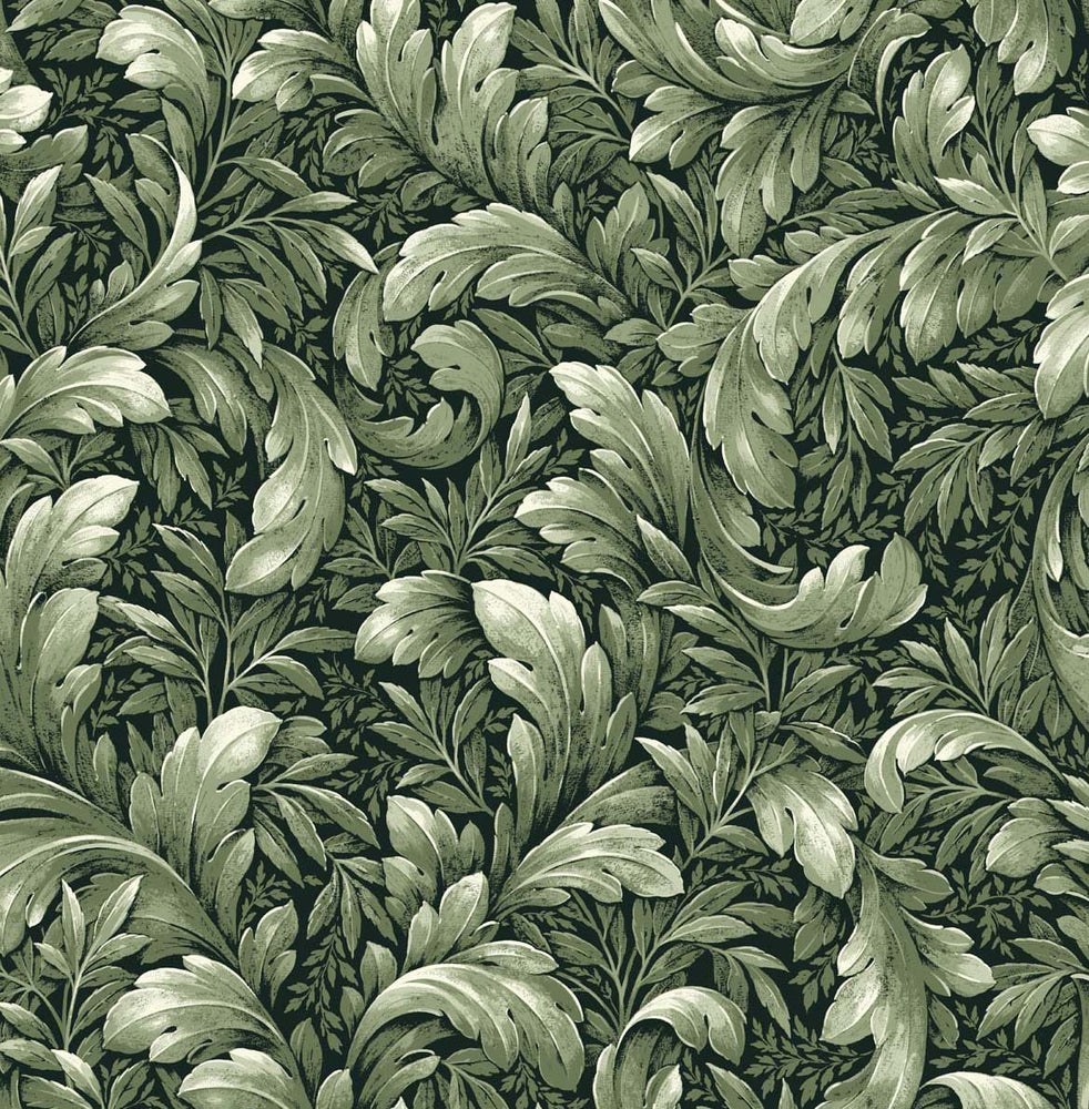 Leaf peel and stick wallpaper NW43604 Acanthus Trail from NextWall