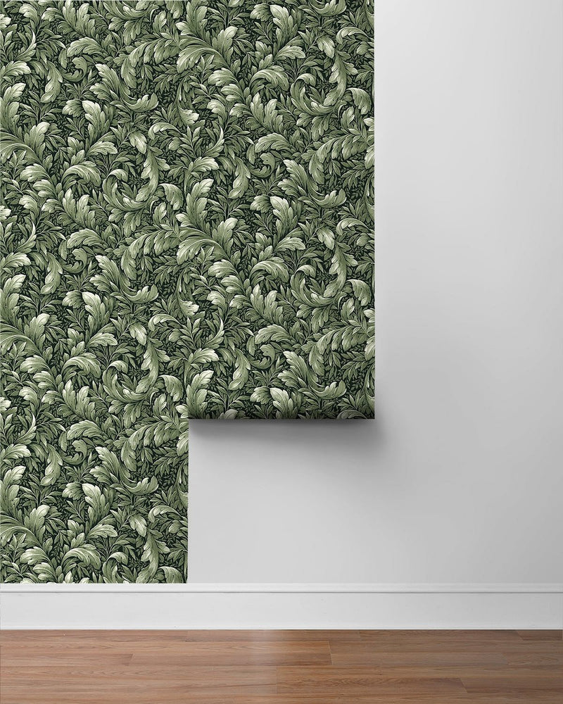 Leaf peel and stick wallpaper NW43604 roll Acanthus Trail from NextWall