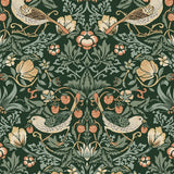 NW43704 Aves Garden peel and stick wallpaper from NextWall