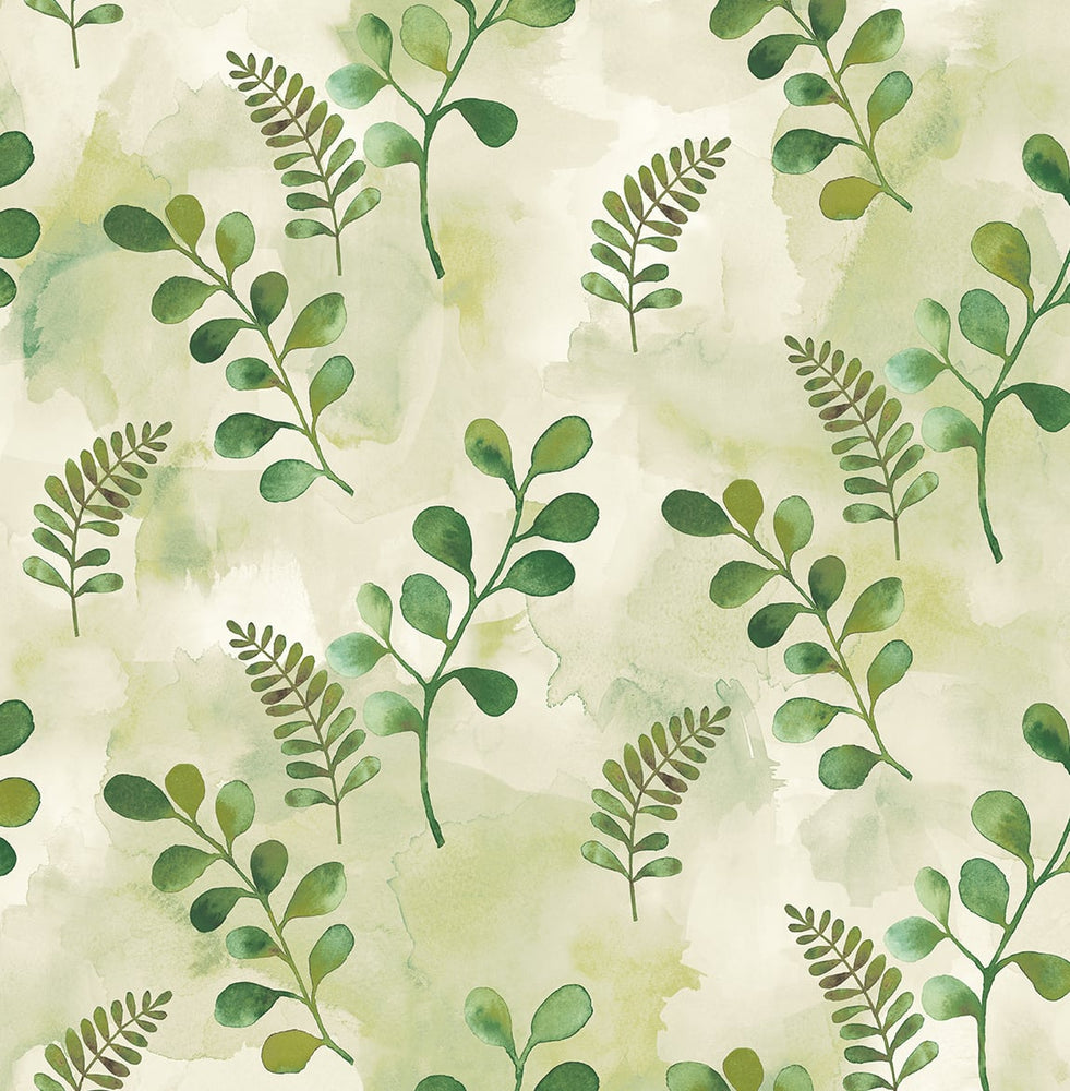 Botanical peel and stick wallpaper NW44104 from NextWall