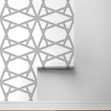 Geometric peel and stick wallpaper roll NW44300 from NextWall