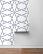 Geometric peel and stick wallpaper roll NW44302 from NextWall