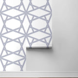 Geometric peel and stick wallpaper roll NW44302 from NextWall