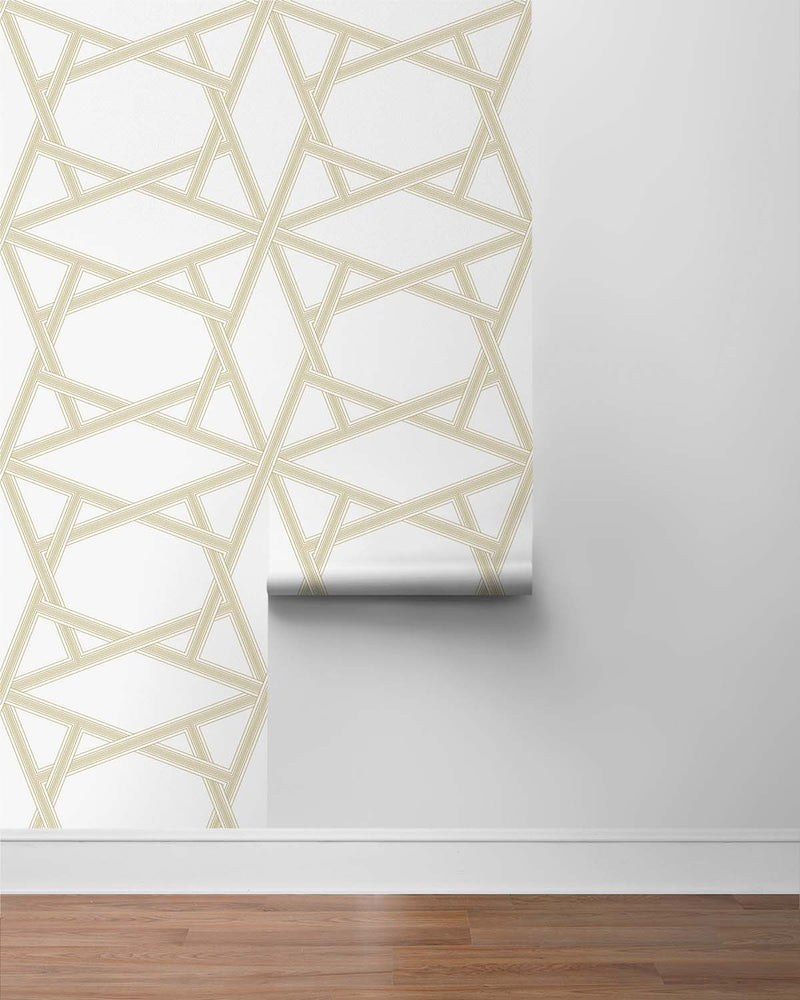 Geometric peel and stick wallpaper roll NW44303 from NextWall