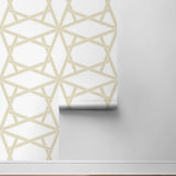 Geometric peel and stick wallpaper roll NW44303 from NextWall
