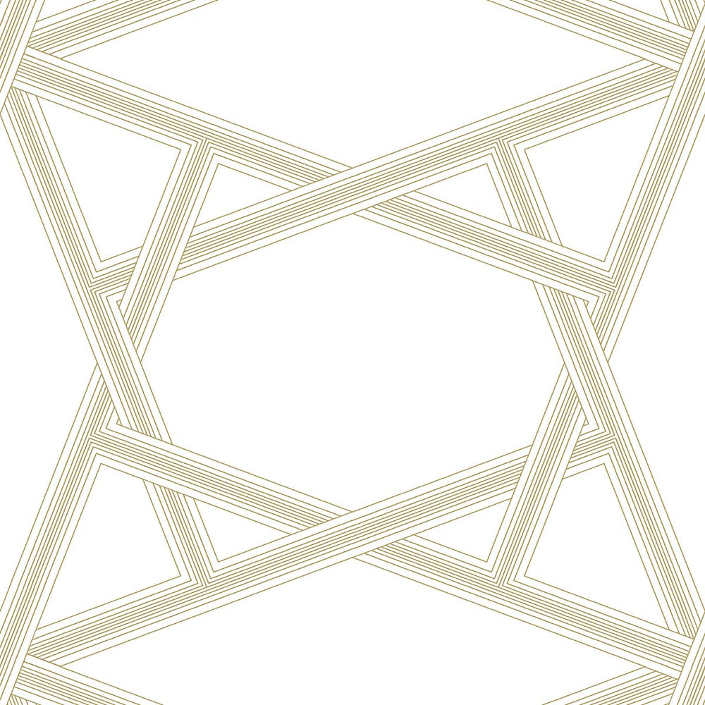
                  
                    Geometric peel and stick wallpaper NW44303 from NextWall
                  
                