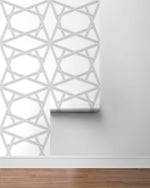 Geometric peel and stick wallpaper roll NW44305 from NextWall