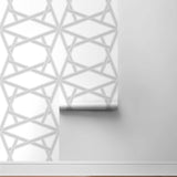 Geometric peel and stick wallpaper roll NW44305 from NextWall