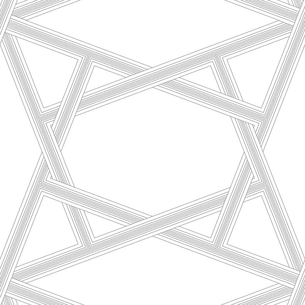 
                  
                    Geometric peel and stick wallpaper NW44305 from NextWall
                  
                