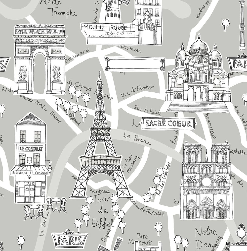 Paris peel and stick wallpaper NW44808 from NextWall