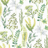 Botanical peel and stick wallpaper NW45412 from NextWall