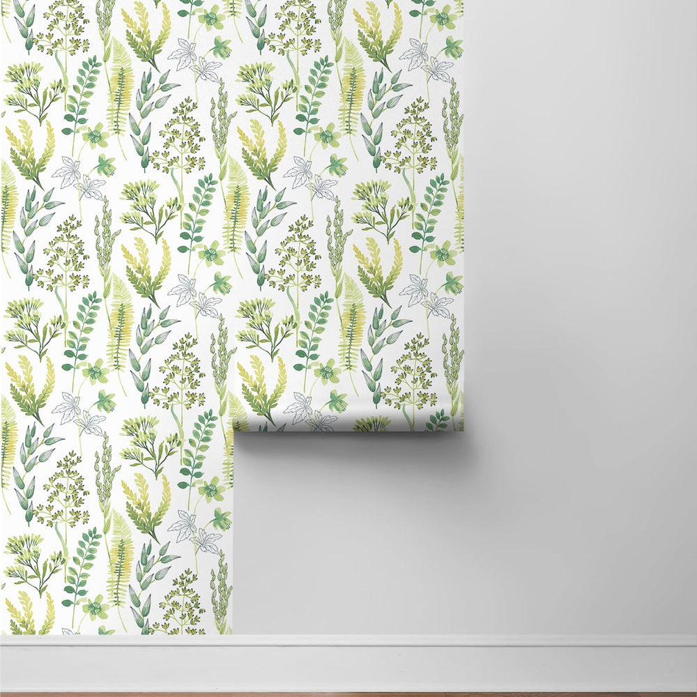 
                  
                    Botanical peel and stick wallpaper roll NW45412 from NextWall
                  
                