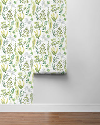 Botanical peel and stick wallpaper roll NW45412 from NextWall