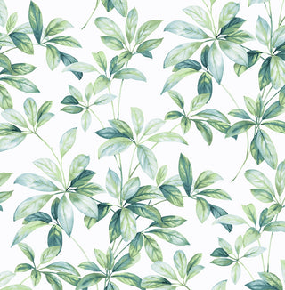 Leaf peel and stick wallpaper NW45604 from NextWall