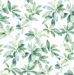 Leaf peel and stick wallpaper NW45604 from NextWall