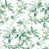 Leaf peel and stick wallpaper NW45604 from NextWall