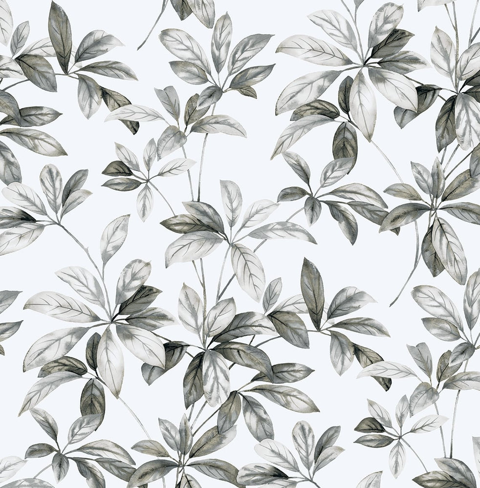 Leaf peel and stick wallpaper NW45605 from NextWall