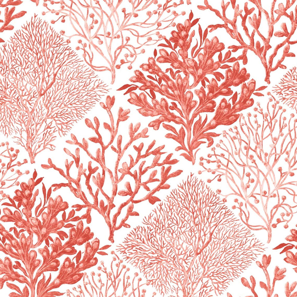 
                  
                    Seaweed beach peel and stick wallpaper NW45804 from NextWall
                  
                