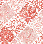 Seaweed beach peel and stick wallpaper NW45804 from NextWall