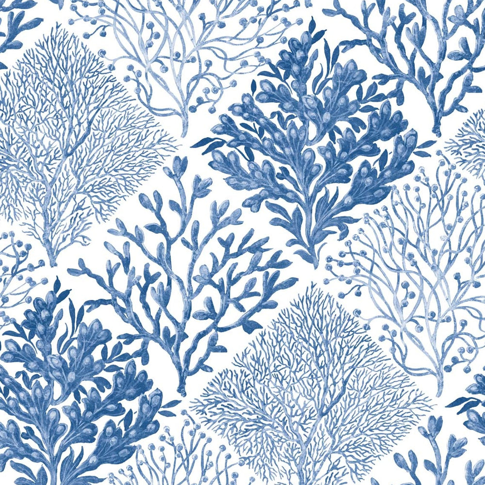 
                  
                    Seaweed beach peel and stick wallpaper NW45805 from NextWall
                  
                