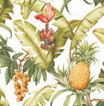 Pineapple peel and stick wallpaper NW46305 tropical from NextWall