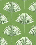 Palm leaf peel and stick wallpaper NW46504 from NextWall