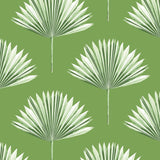 Palm leaf peel and stick wallpaper NW46504 from NextWall