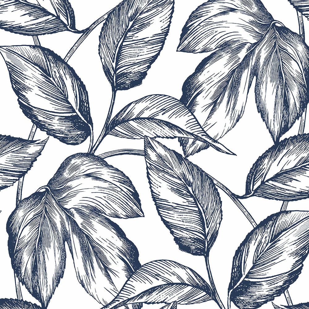 
                  
                    Sketched leaf peel and stick wallpaper NW46902 from NextWall
                  
                