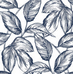 Sketched leaf peel and stick wallpaper NW46902 from NextWall