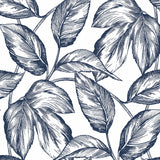 Sketched leaf peel and stick wallpaper NW46902 from NextWall