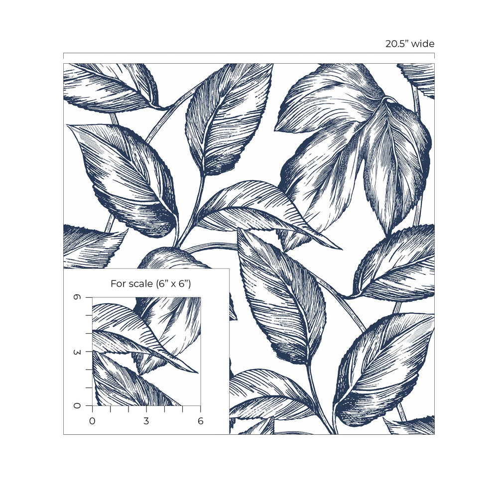 Sketched leaf peel and stick wallpaper scale NW46902 from NextWall