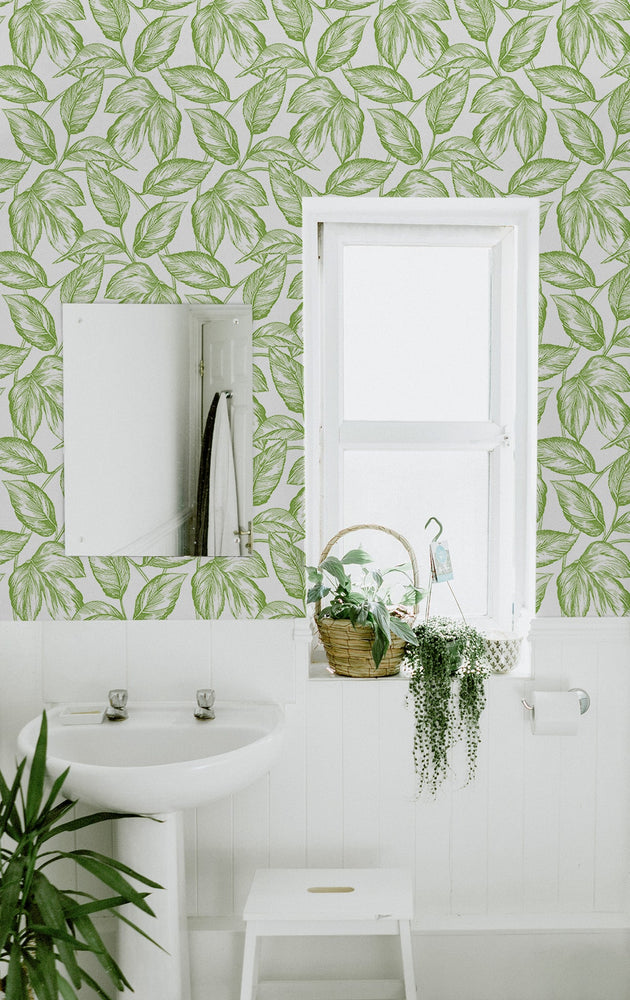Sketched leaf peel and stick wallpaper bathroom NW46904 from NextWall
