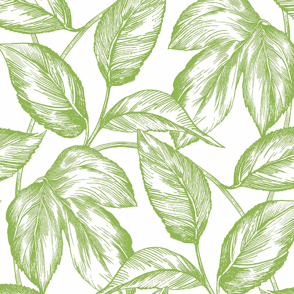 
                  
                    Sketched leaf peel and stick wallpaper NW46904 from NextWall
                  
                