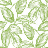 Sketched leaf peel and stick wallpaper NW46904 from NextWall