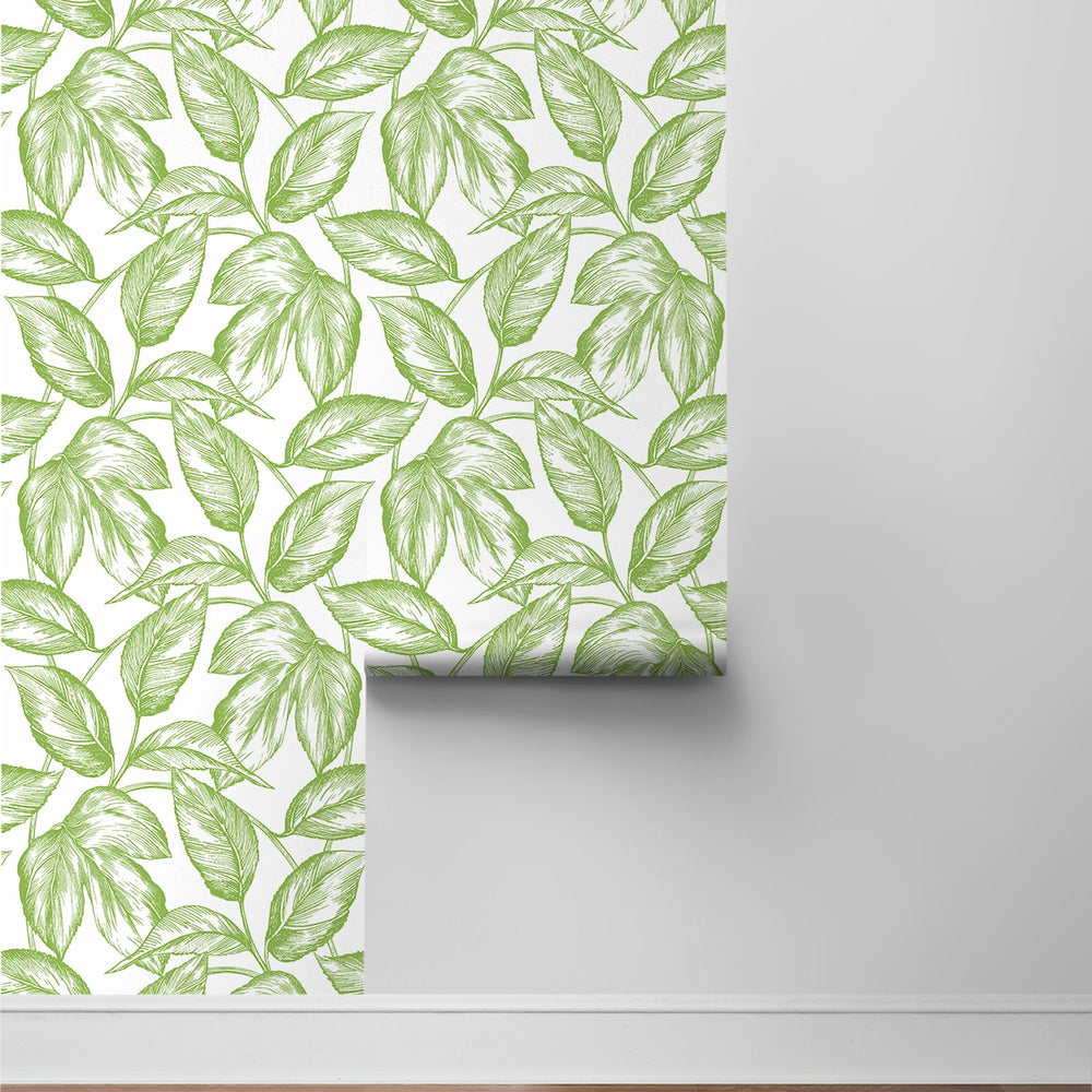 
                  
                    Sketched leaf peel and stick wallpaper roll NW46904 from NextWall
                  
                