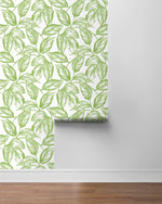 Sketched leaf peel and stick wallpaper roll NW46904 from NextWall