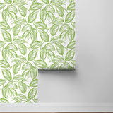 Sketched leaf peel and stick wallpaper roll NW46904 from NextWall