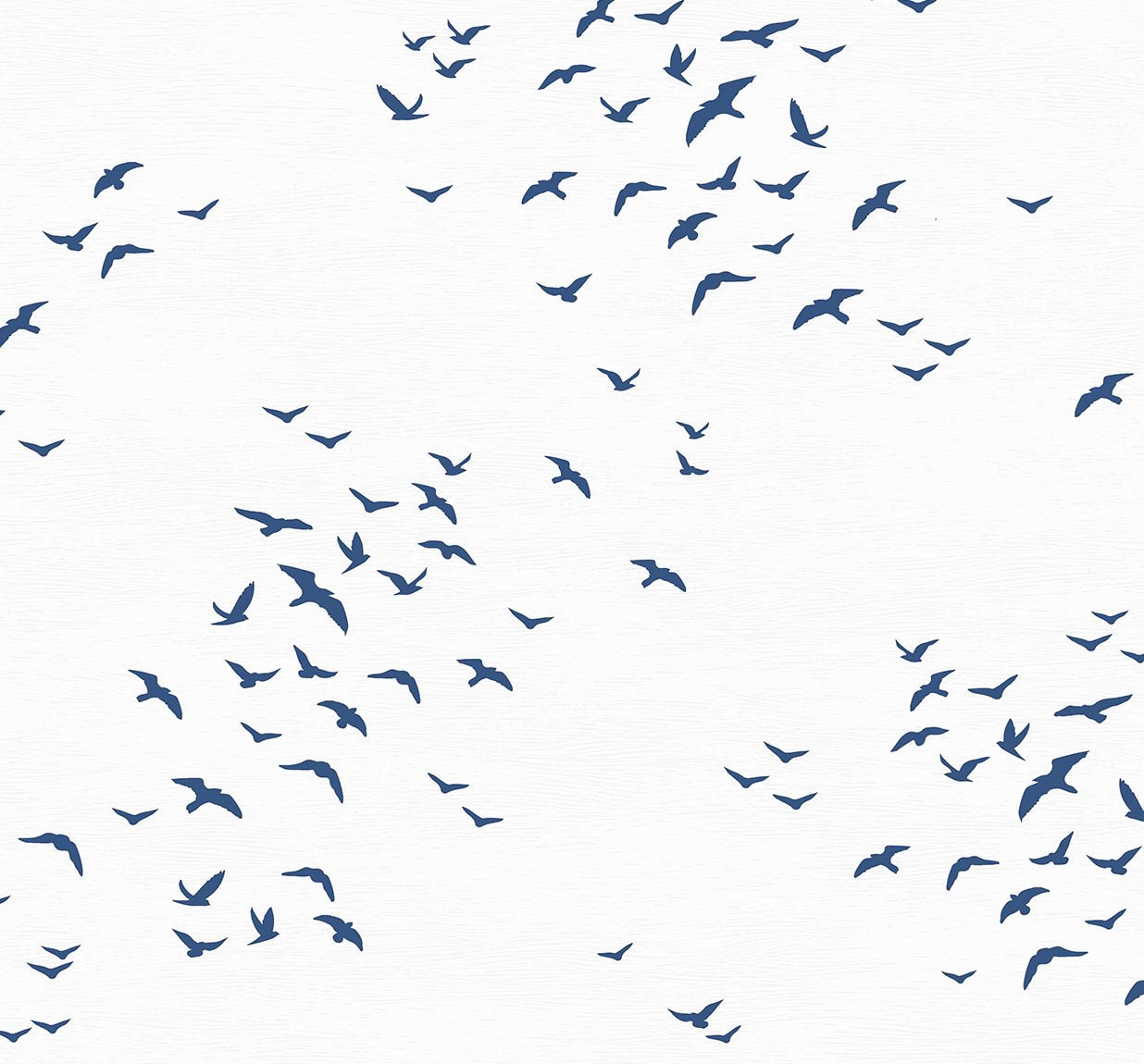 Bird peel and stick wallpaper coastal NW47602 from NextWall