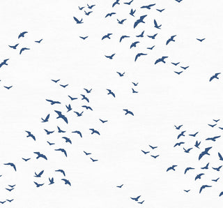 Bird peel and stick wallpaper coastal NW47602 from NextWall
