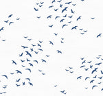 Bird peel and stick wallpaper coastal NW47602 from NextWall