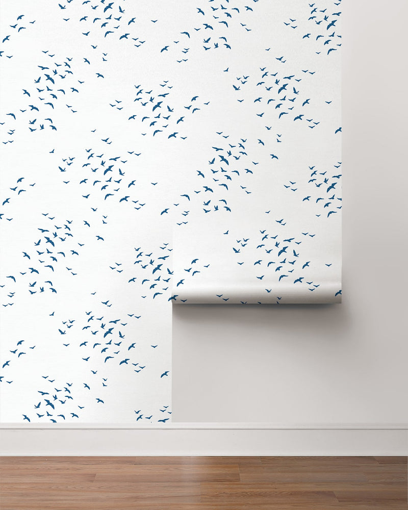 Bird peel and stick wallpaper coastal roll NW47602 from NextWall