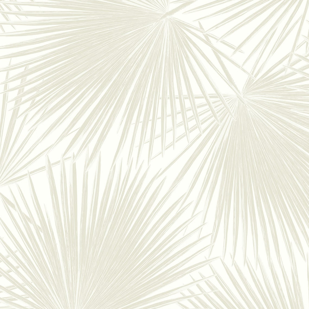 Palm leaf peel and stick wallpaper tropical NW47710 from NextWall