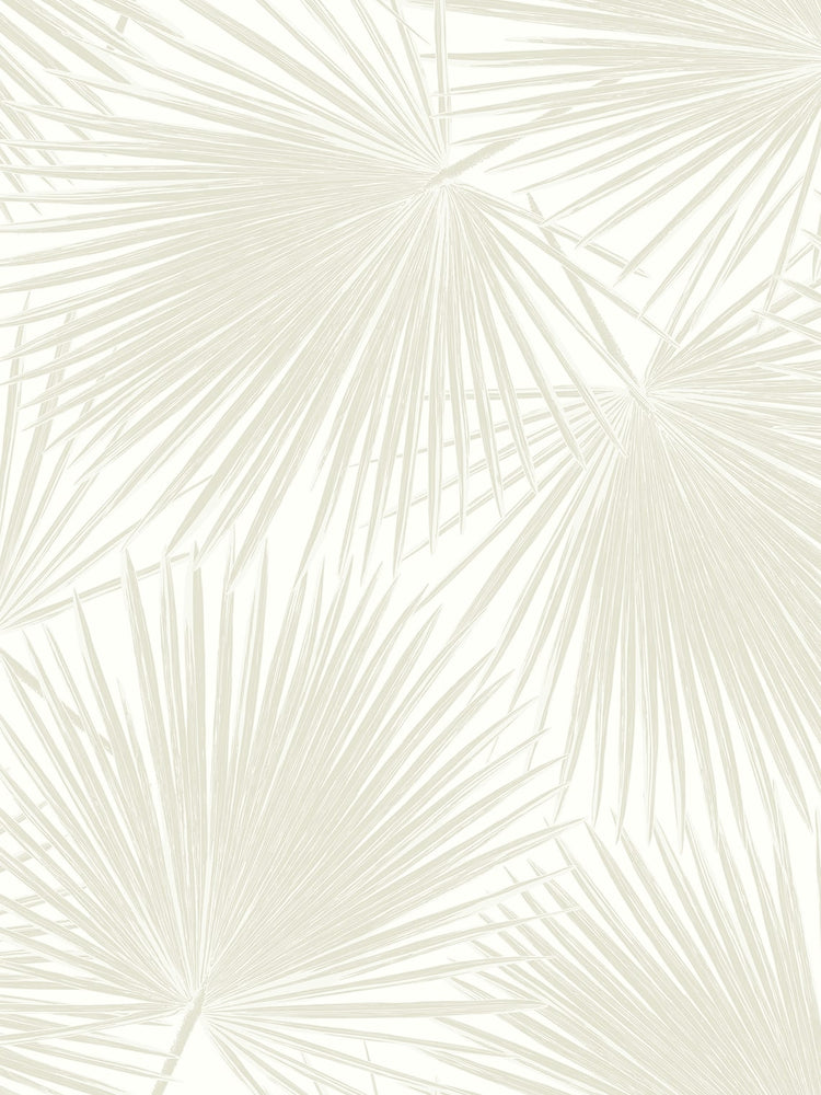 Aruba Palm Premium Screen Printed Peel and Stick Removable Wallpaper