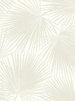 Palm leaf peel and stick wallpaper tropical NW47710 from NextWall