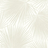 Palm leaf peel and stick wallpaper tropical NW47710 from NextWall