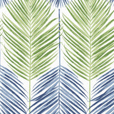 Palm leaf peel and stick wallpaper NW47904 from NextWall