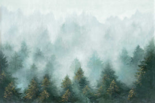 NZ10904M daybreak forest peel and stick wall mural from NextWall