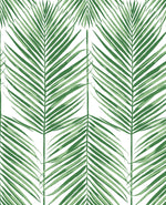 PR10704 palm leaf coastal prepasted wallpaper from Seabrook Designs