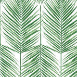 PR10704 palm leaf coastal prepasted wallpaper from Seabrook Designs